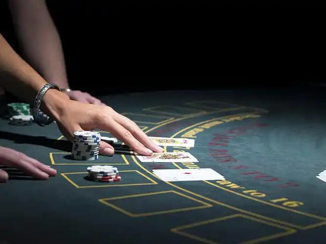 sdmu942 Blackjack